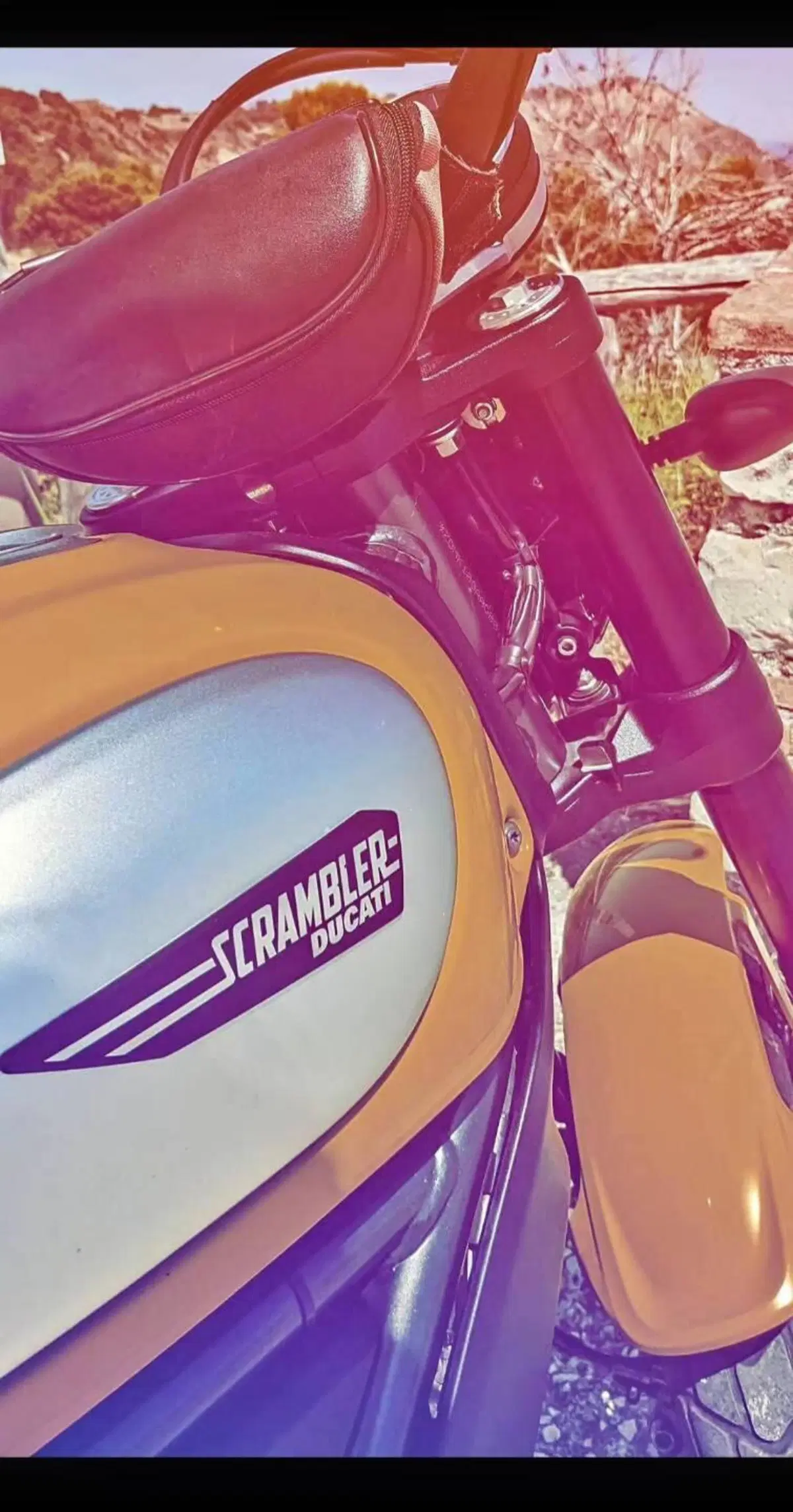 Ducati Scrambler 800 Classic (2015 - 16) (3)