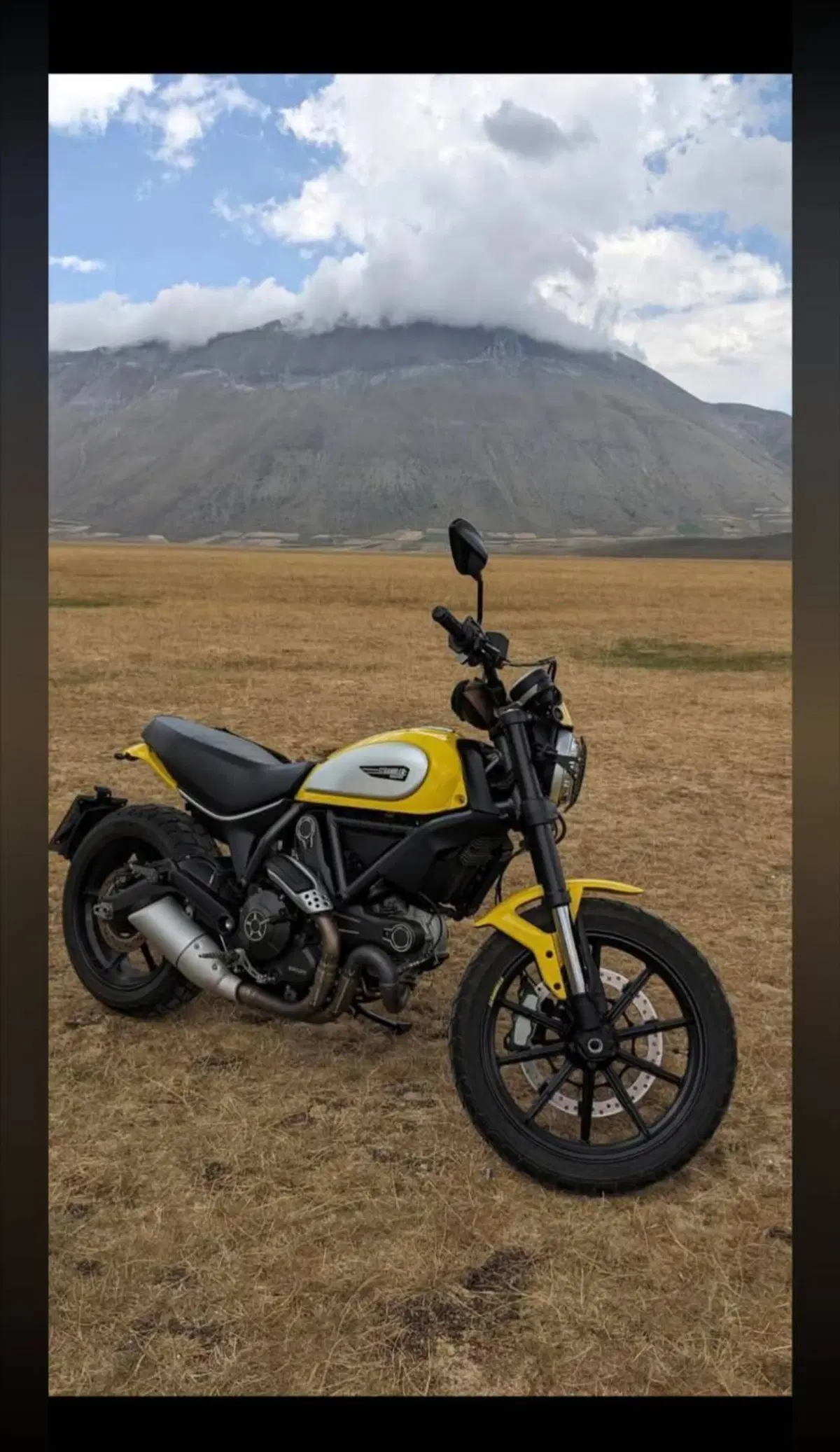 Ducati Scrambler 800 Classic (2015 - 16) (6)