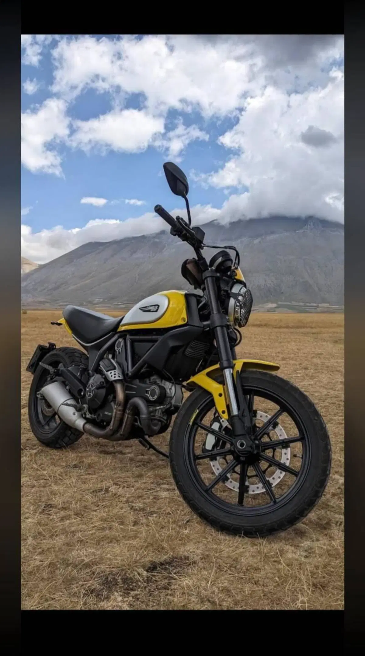 Ducati Scrambler 800 Classic (2015 - 16) (7)