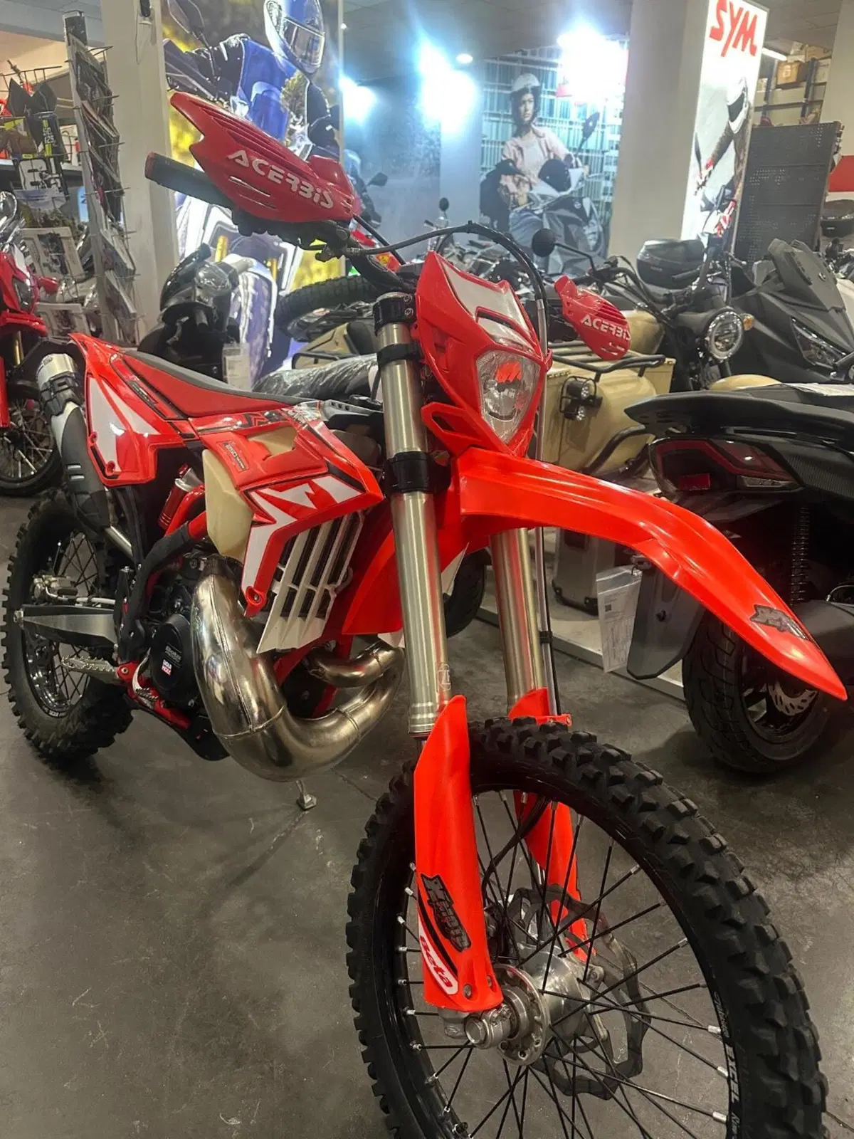 Betamotor RR 250 2T Enduro (2024)