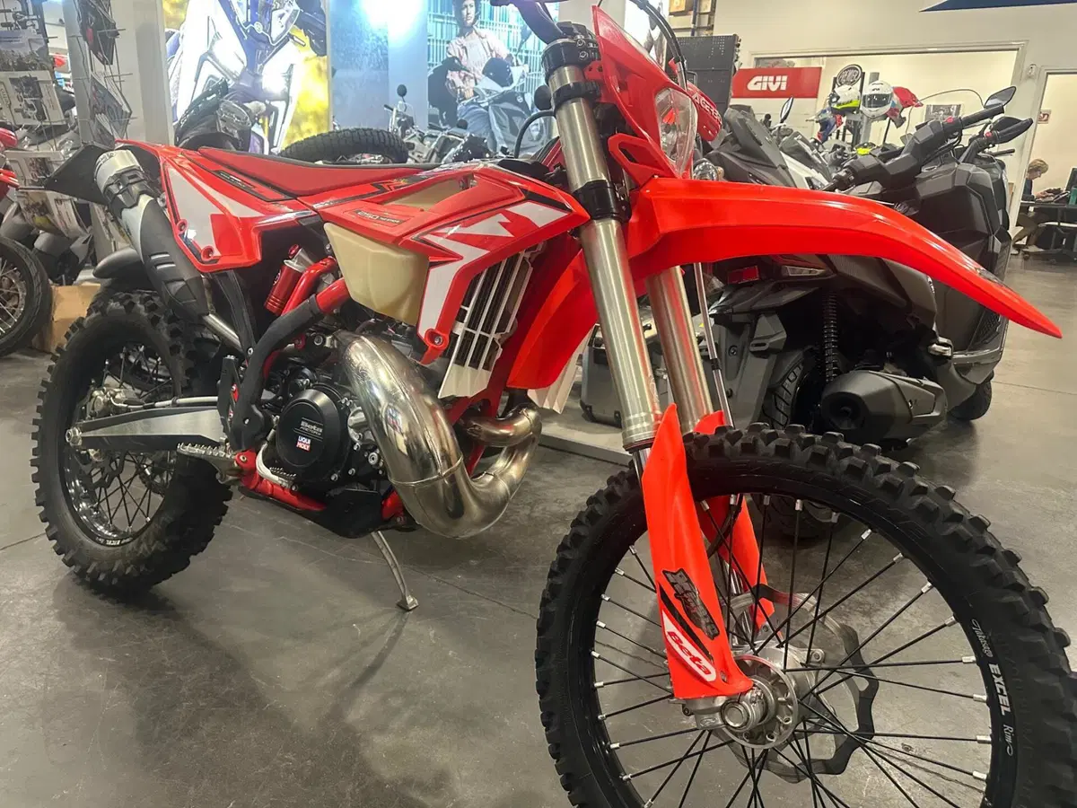 Betamotor RR 250 2T Enduro (2024) (2)