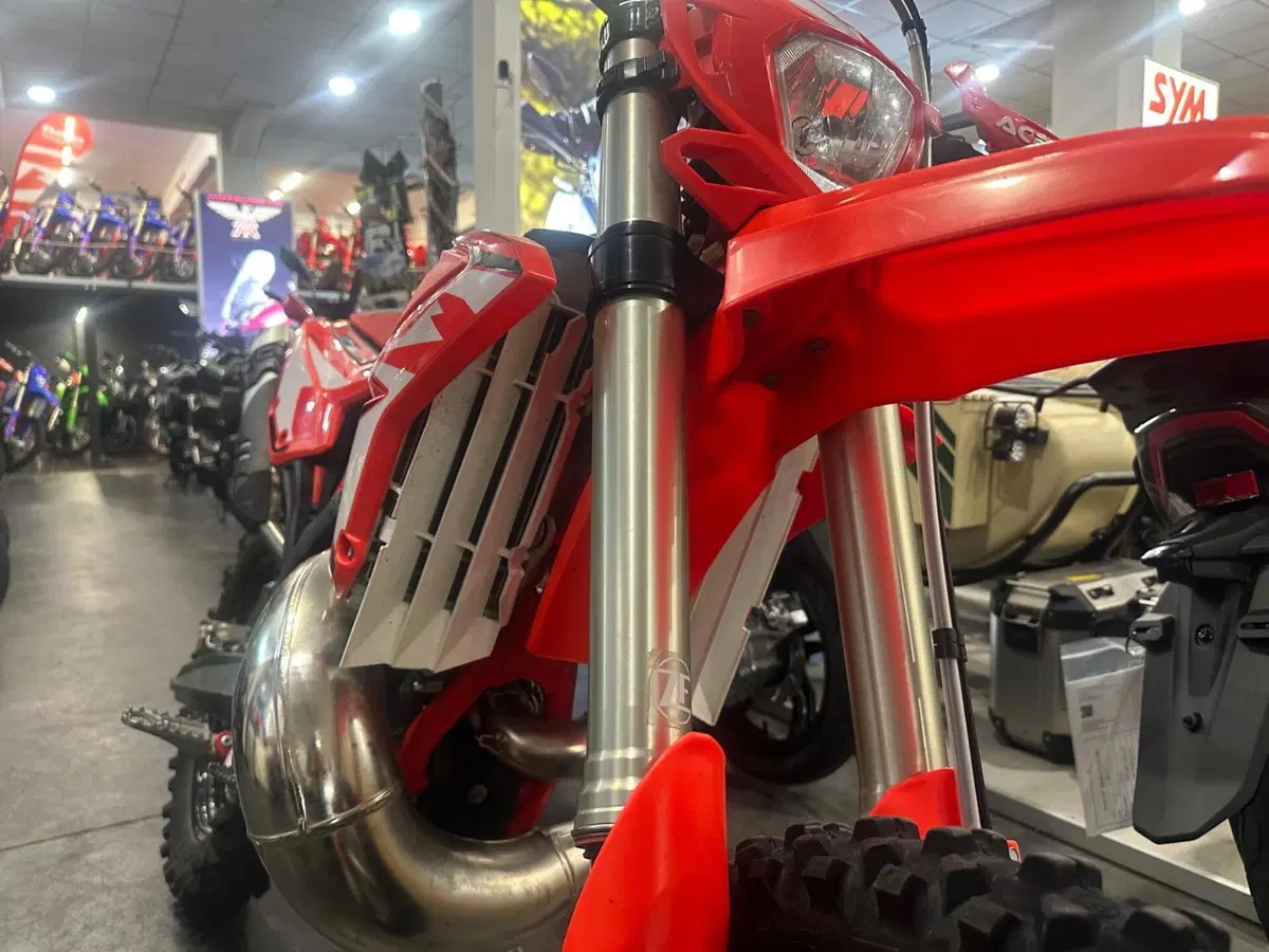 Betamotor RR 250 2T Enduro (2024) (6)