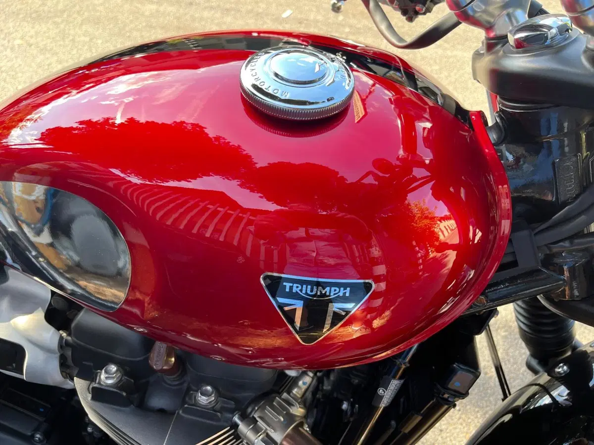 Triumph Speed Twin 900 (2023 - 24)