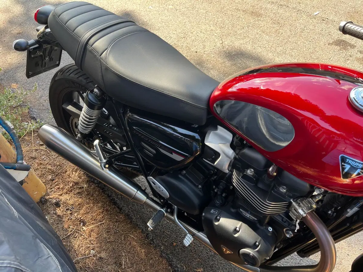 Triumph Speed Twin 900 (2023 - 24) (2)