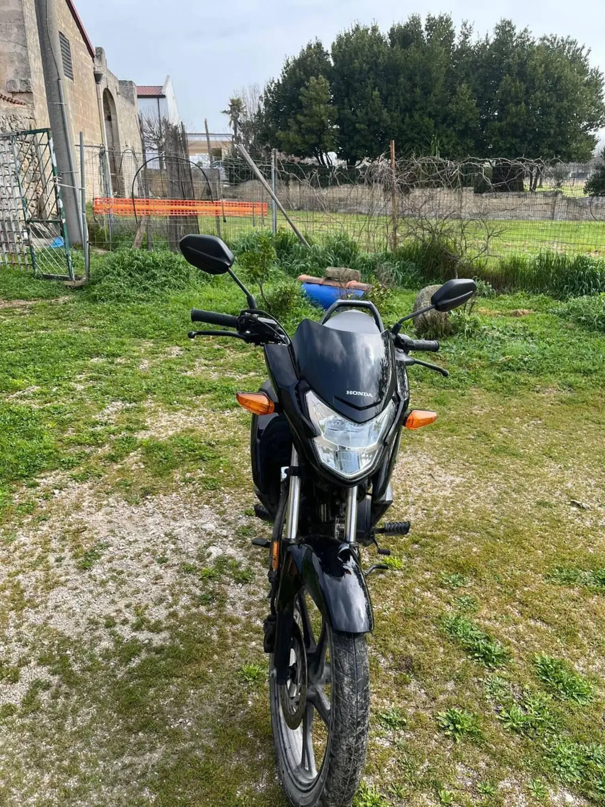 Honda CB 125 F (2021 - 25) (4)