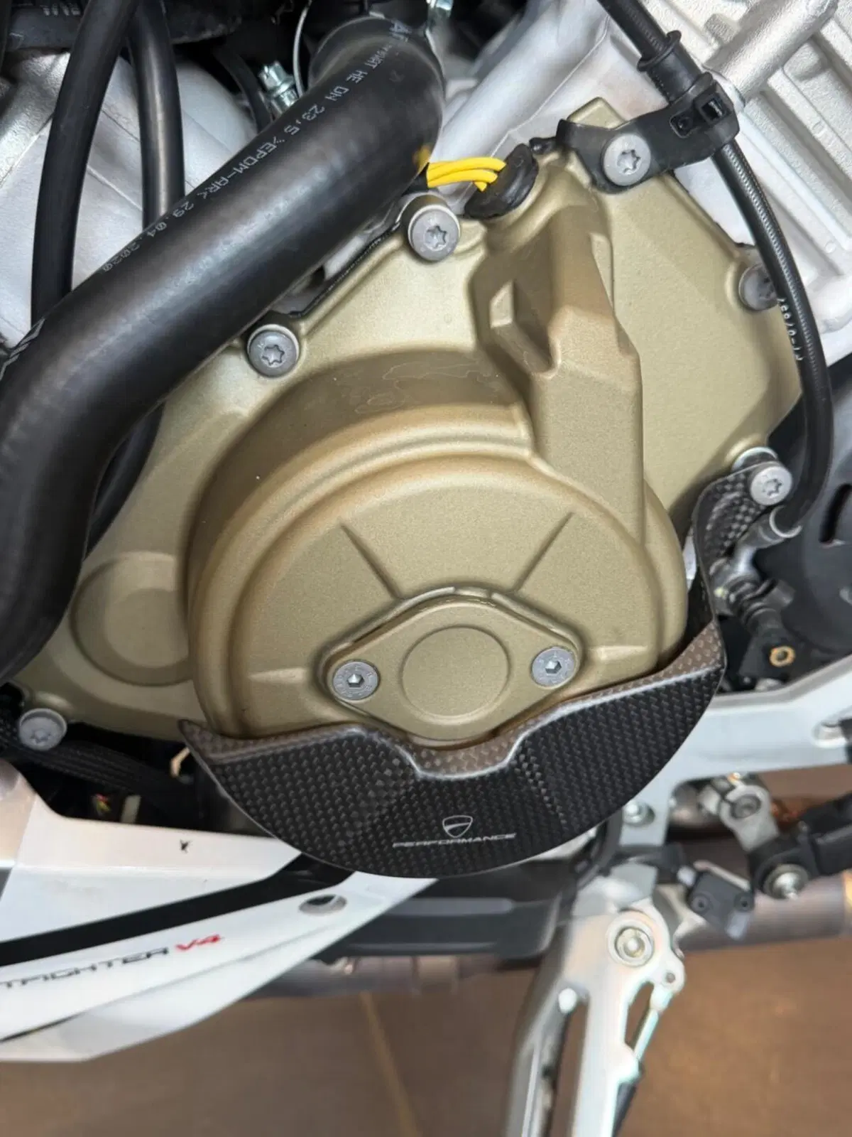 Ducati Streetfighter V4 1100 S (2020) (10)