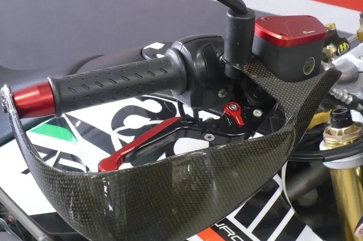 Aprilia Dorsoduro 750 ABS (2009 - 17) (13)