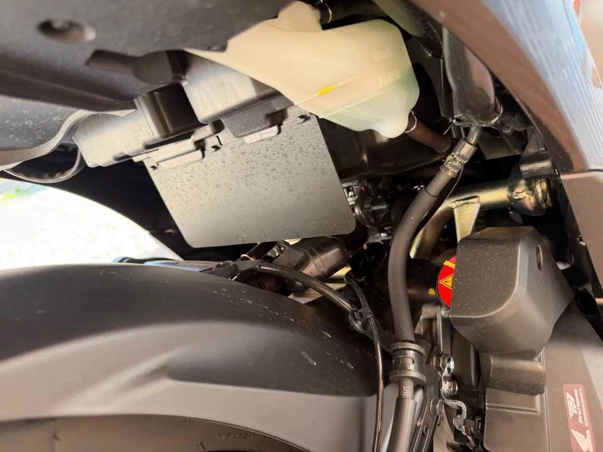 Honda SH 150i Sport (2024 - 25) (10)