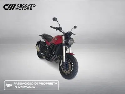 Benelli Leoncino 500 (2021 - 25) usata