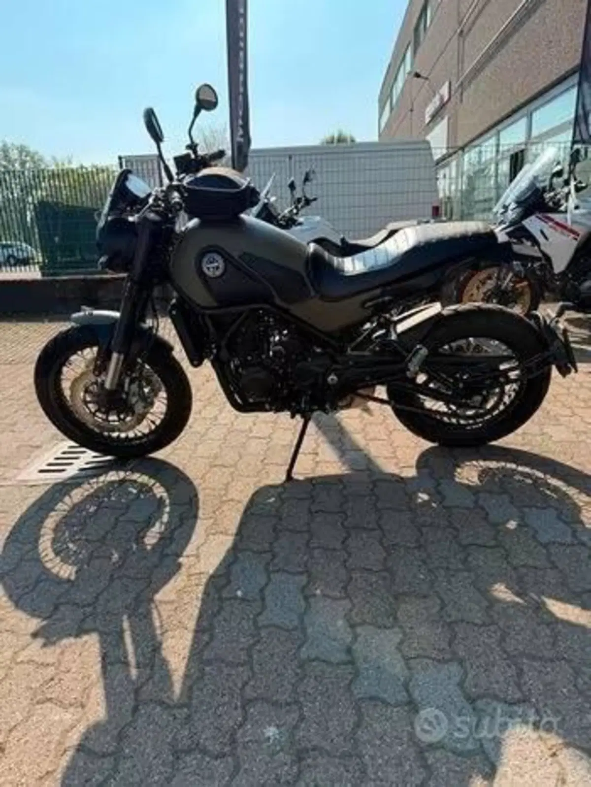 Benelli Leoncino 500 Trail (2021 - 26) (3)