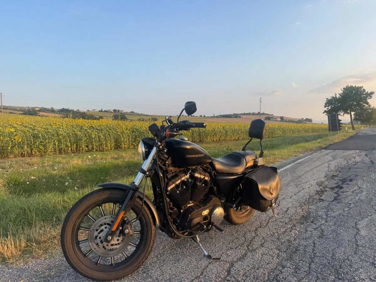 Harley-Davidson 883 Iron (2009 - 11) - XL 883N