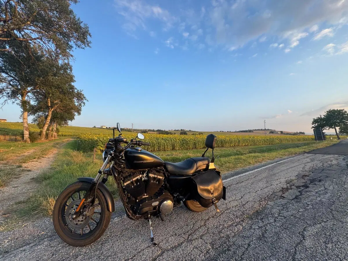 Harley-Davidson 883 Iron (2009 - 11) - XL 883N (2)