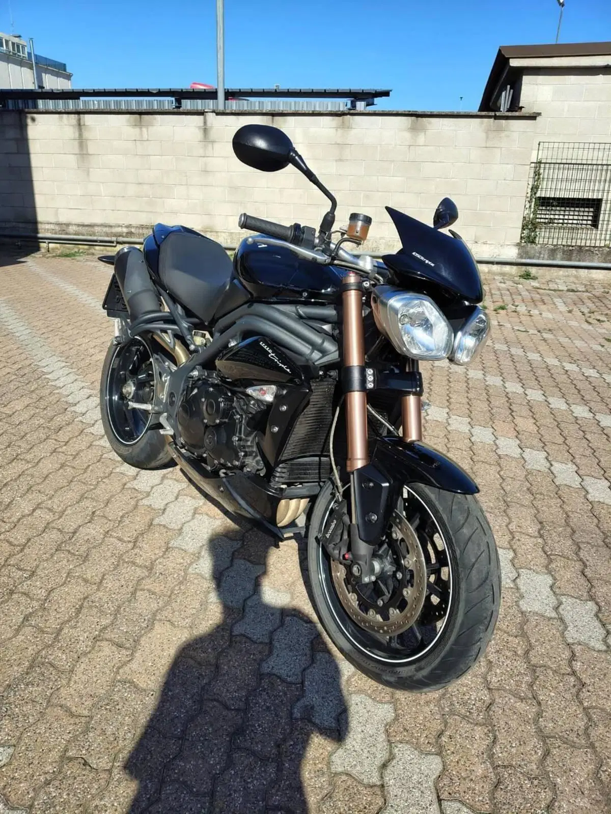 Triumph Speed 94 (2015) (2)