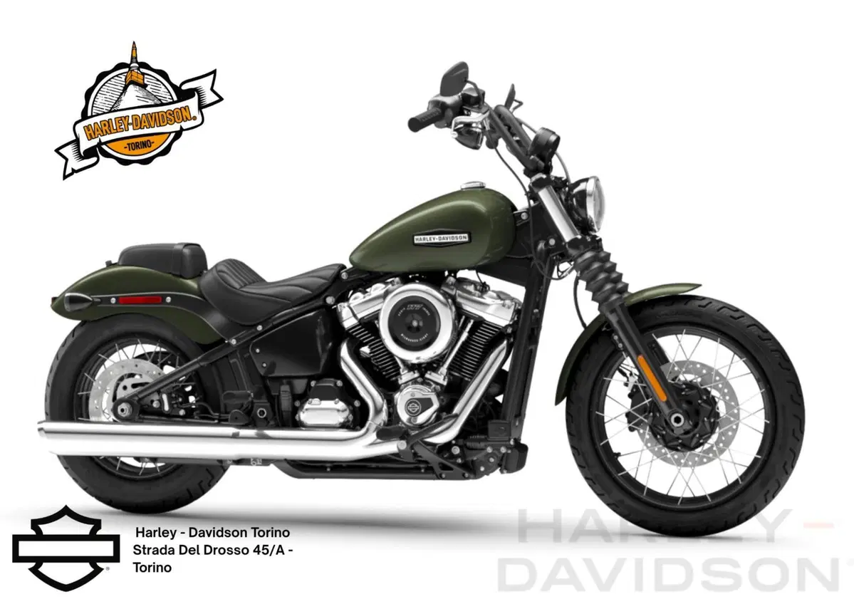 Harley-Davidson Street Bob 117 (2025 - 26)