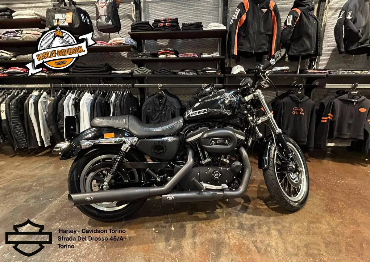 Harley-Davidson 883 R (2006 - 07) - XL 883R