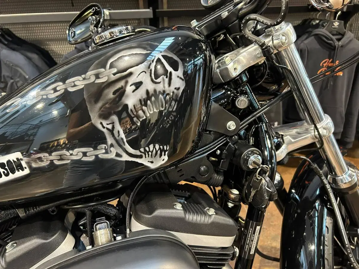 Harley-Davidson 883 R (2006 - 07) - XL 883R (5)
