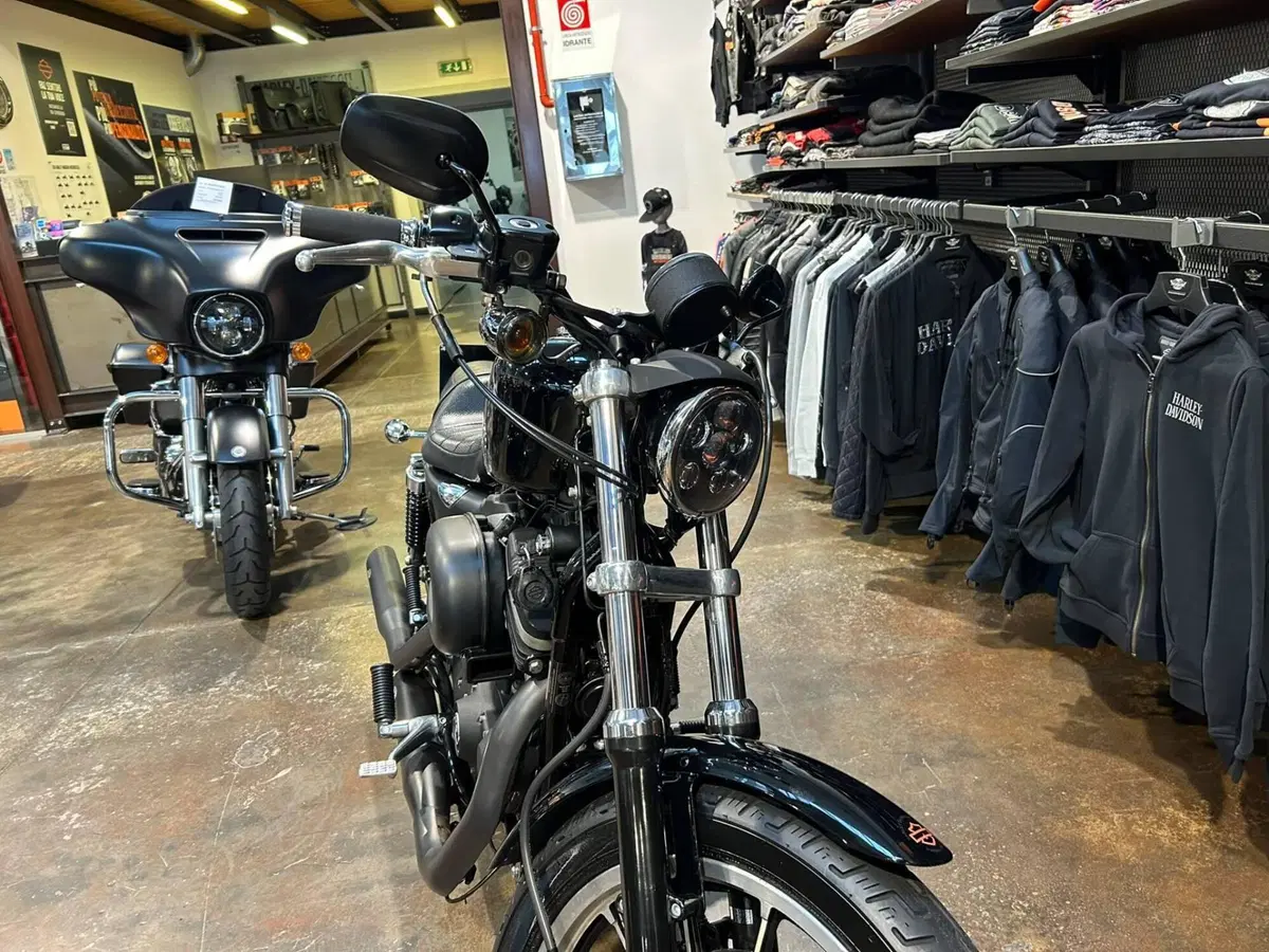 Harley-Davidson 883 R (2006 - 07) - XL 883R (7)