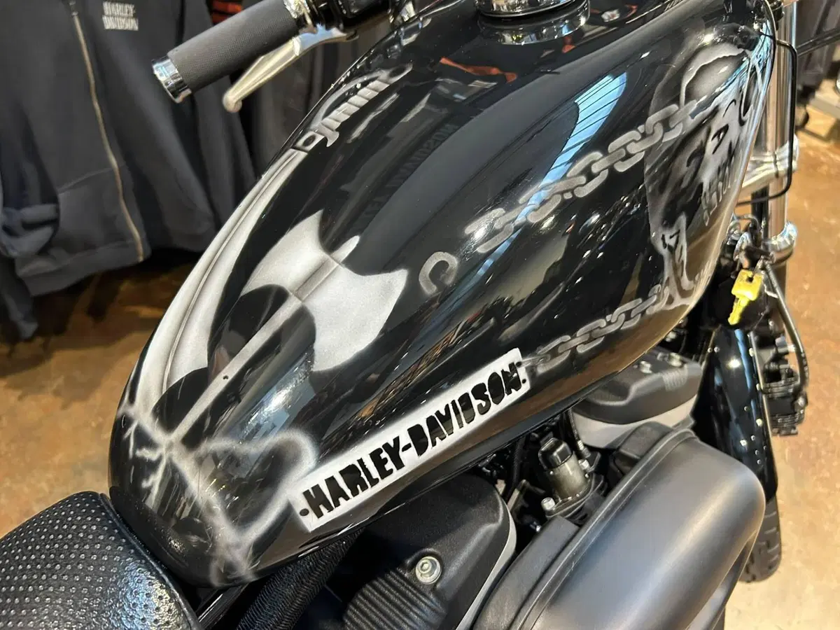 Harley-Davidson 883 R (2006 - 07) - XL 883R (10)