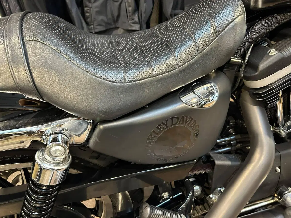 Harley-Davidson 883 R (2006 - 07) - XL 883R (12)
