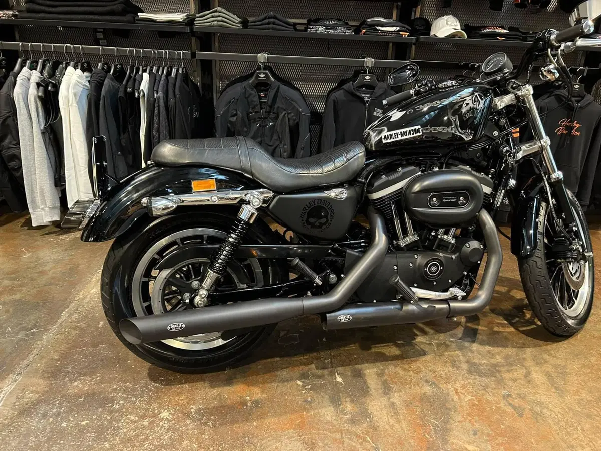 Harley-Davidson 883 R (2006 - 07) - XL 883R (15)