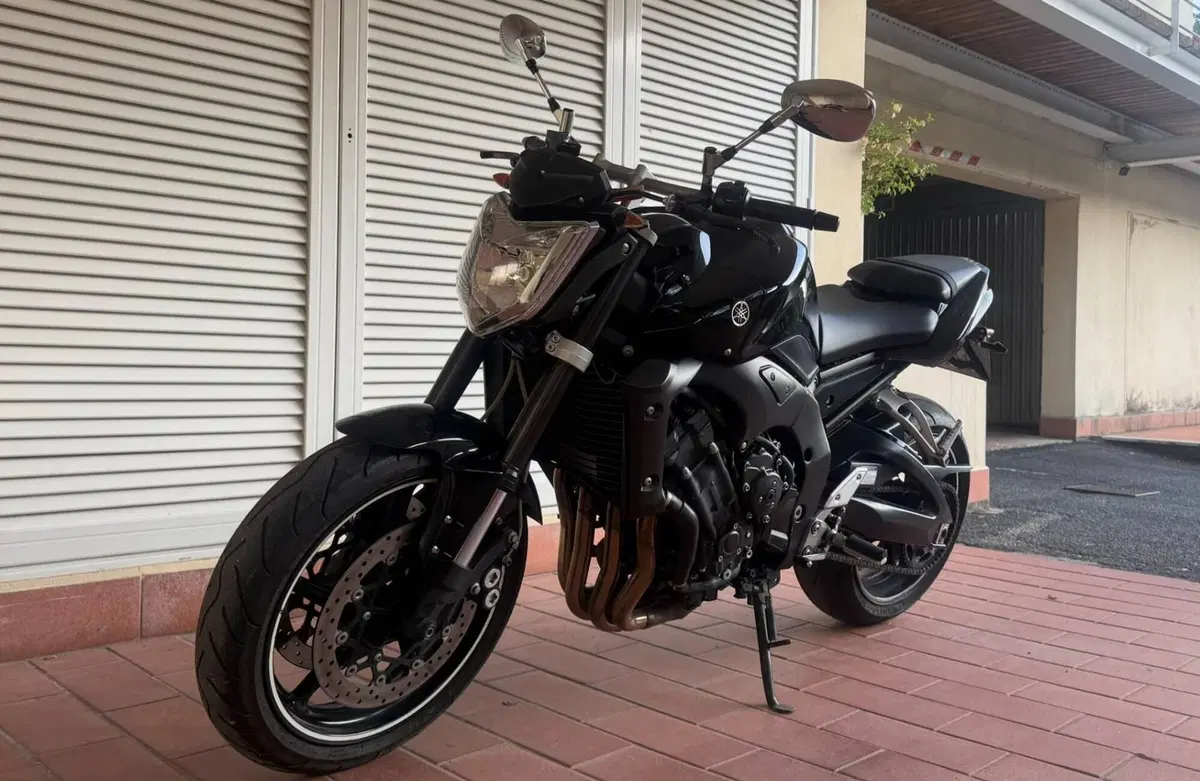 Yamaha FZ1 (2006 - 16) (2)