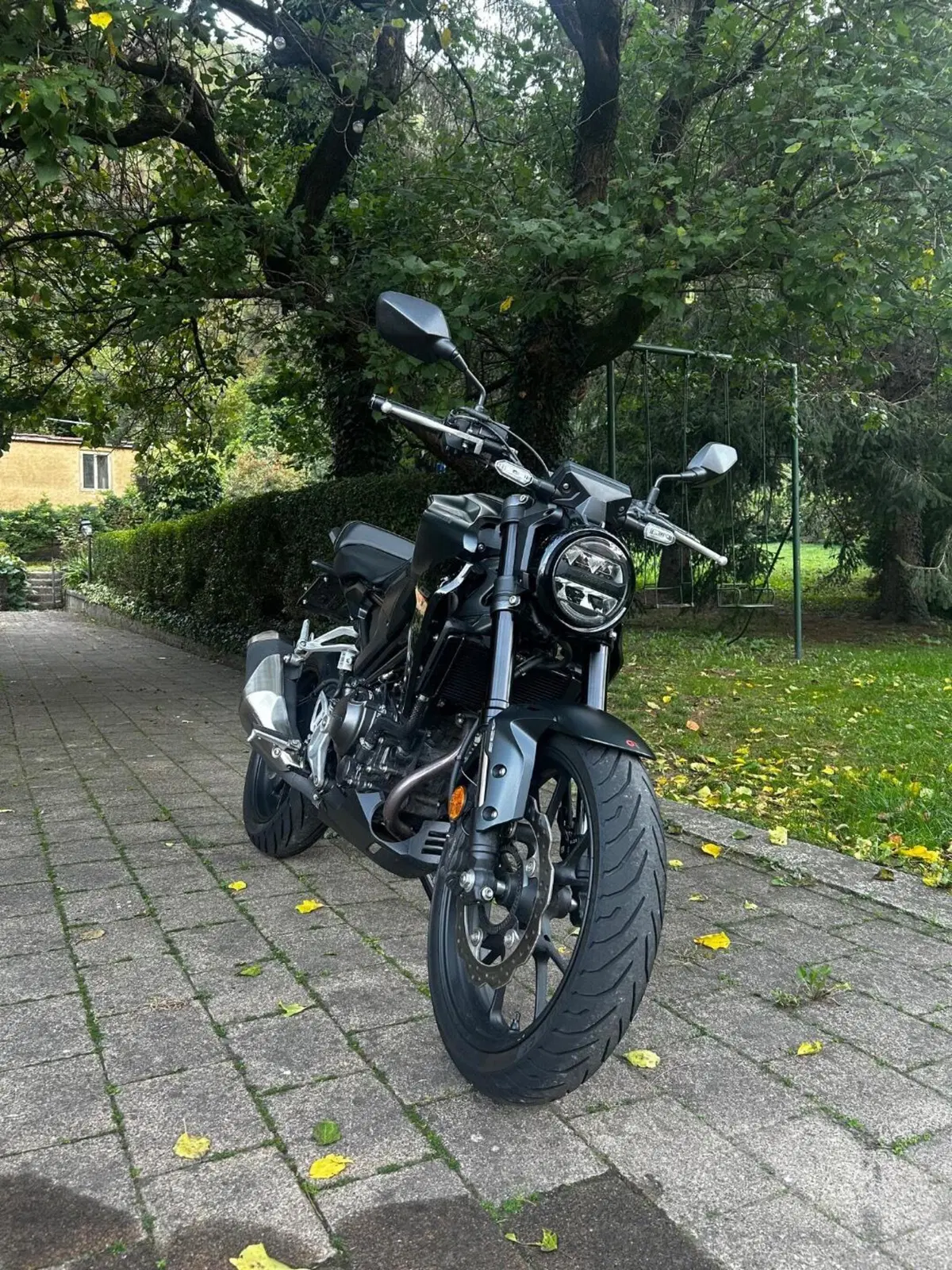 Honda CB 300 R (2022 - 26)