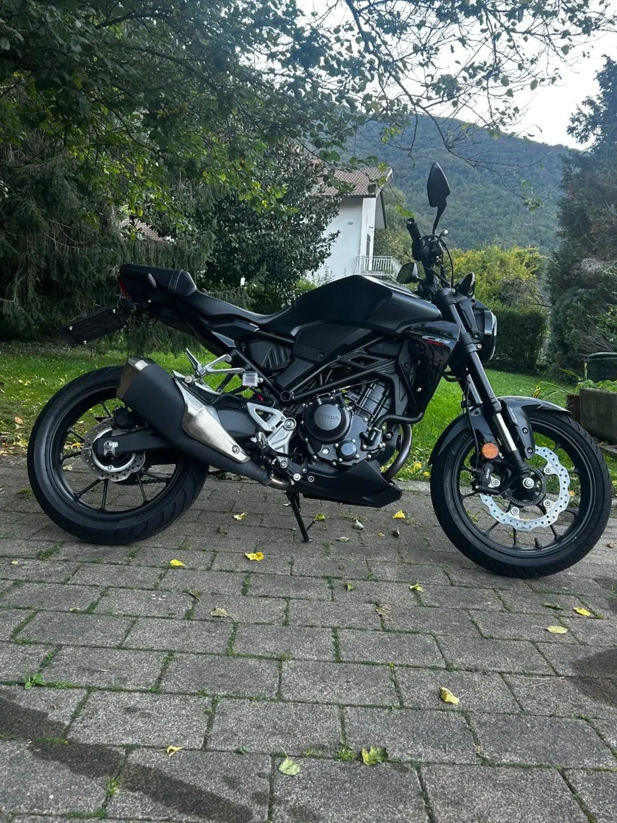 Honda CB 300 R (2022 - 26) (3)