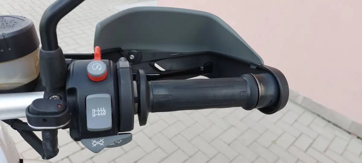 Bmw R 1200 GS (2008 - 09) (9)
