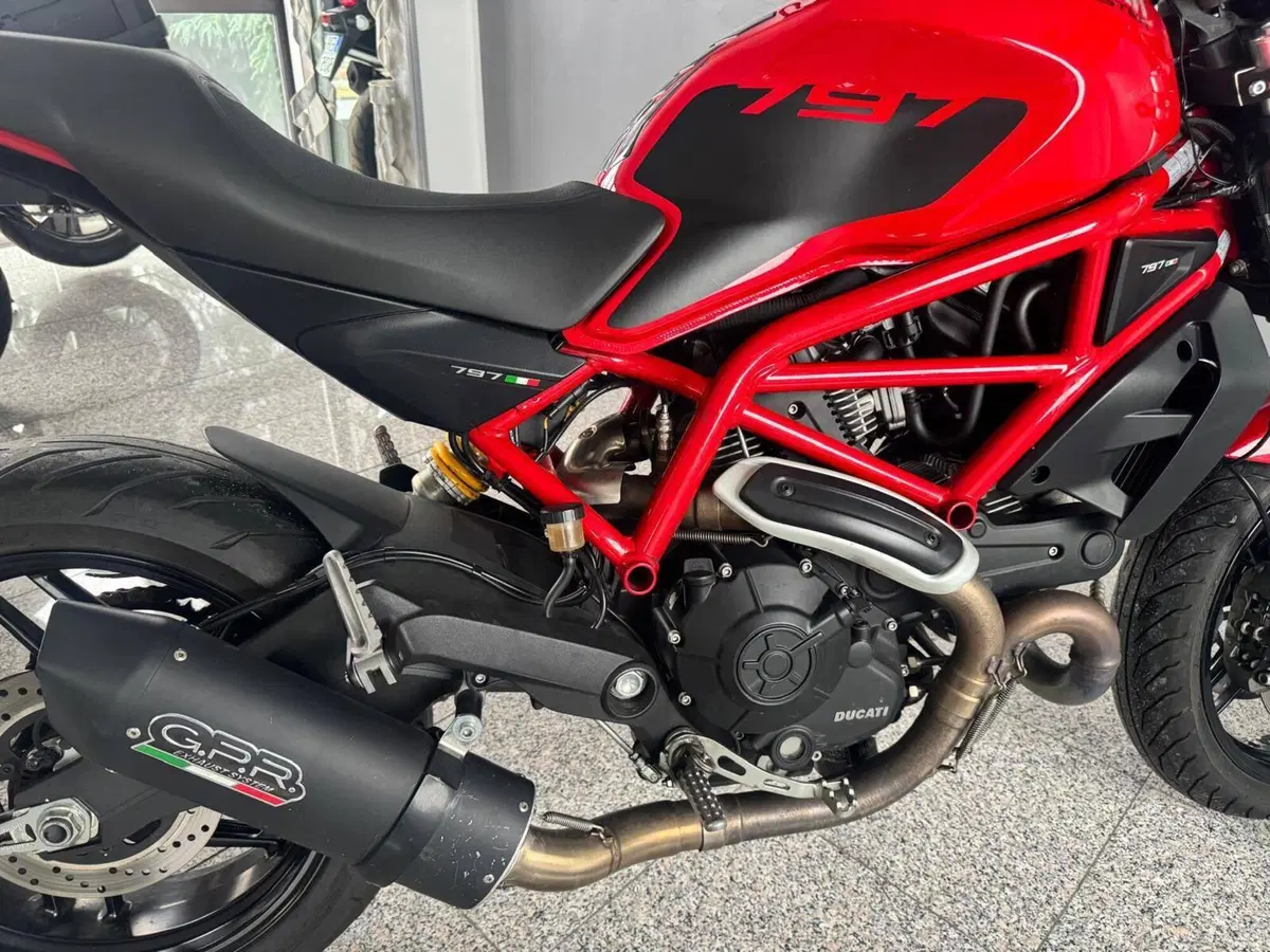 Ducati Monster 797 (2019 - 20) (6)