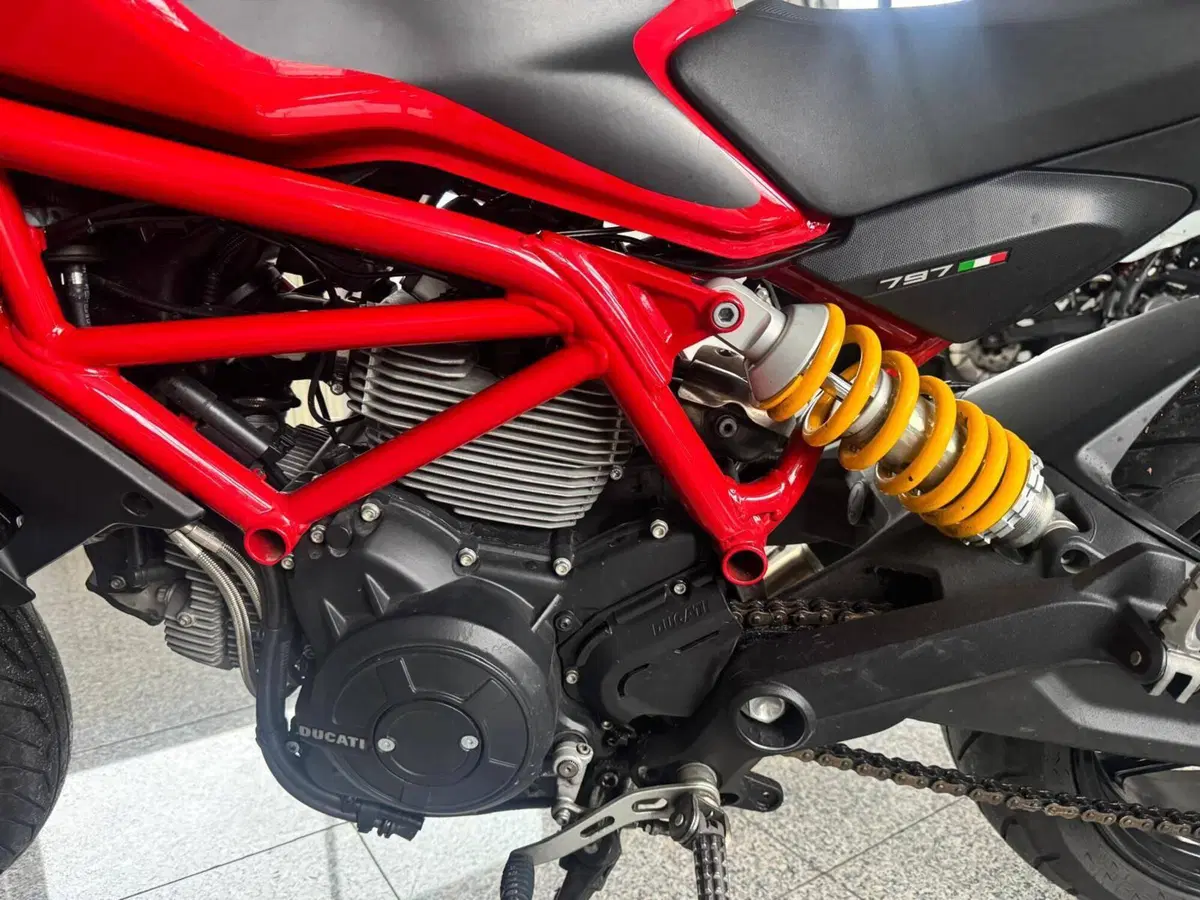 Ducati Monster 797 (2019 - 20) (7)