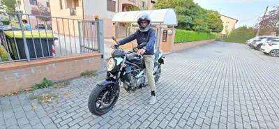 Suzuki Gladius 650 SFV (2009 - 15) usata