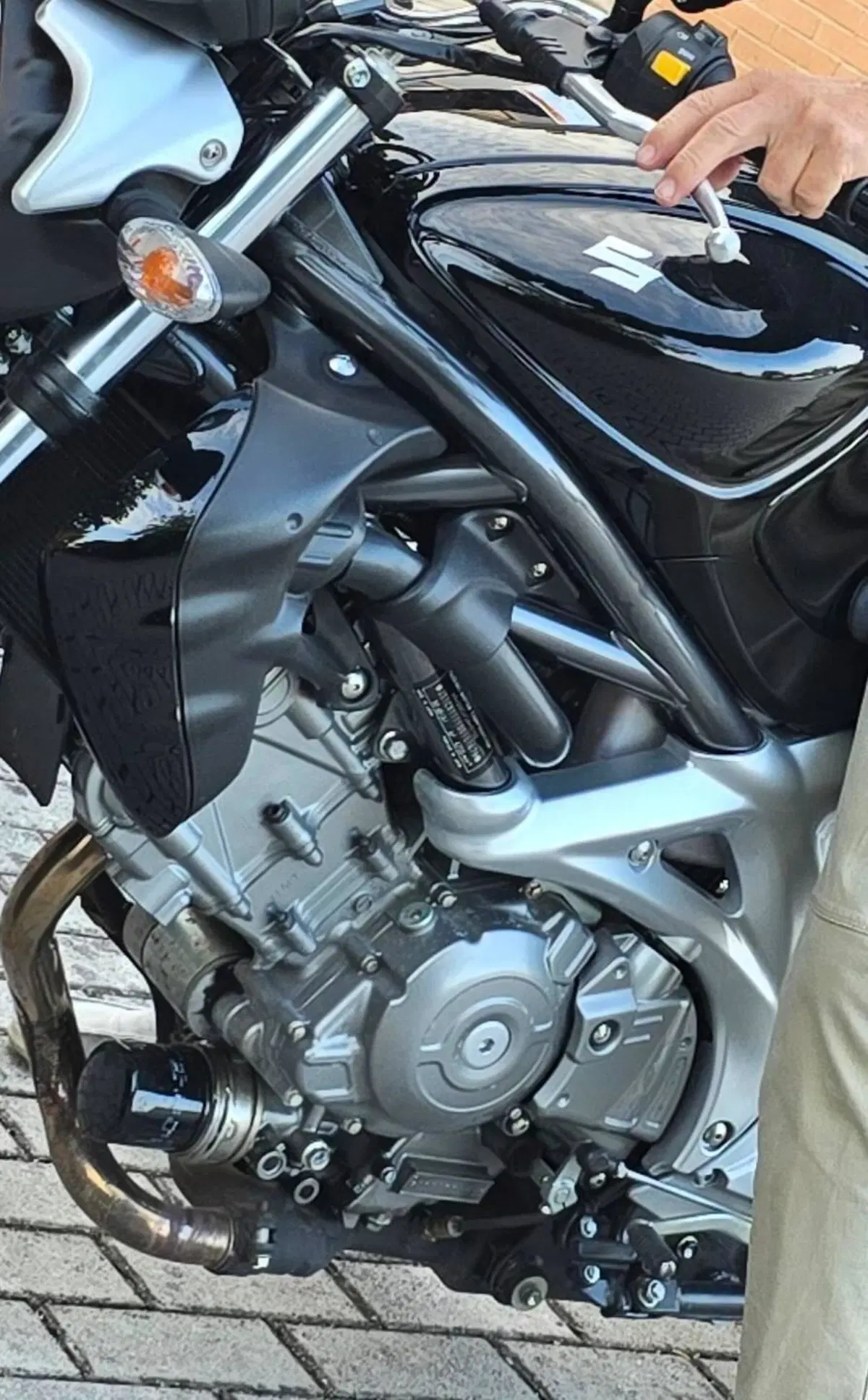Suzuki Gladius 650 SFV (2009 - 15) (5)
