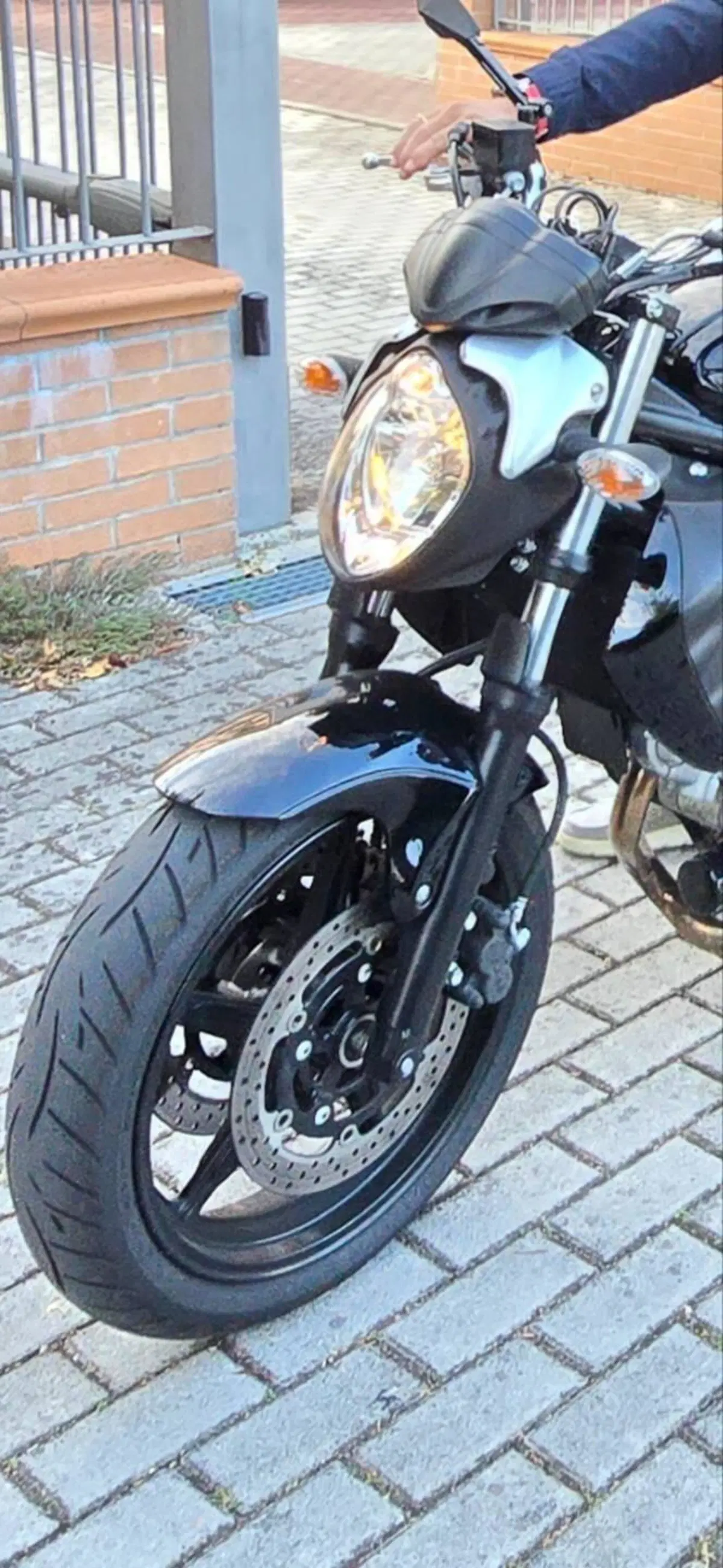 Suzuki Gladius 650 SFV (2009 - 15) (6)