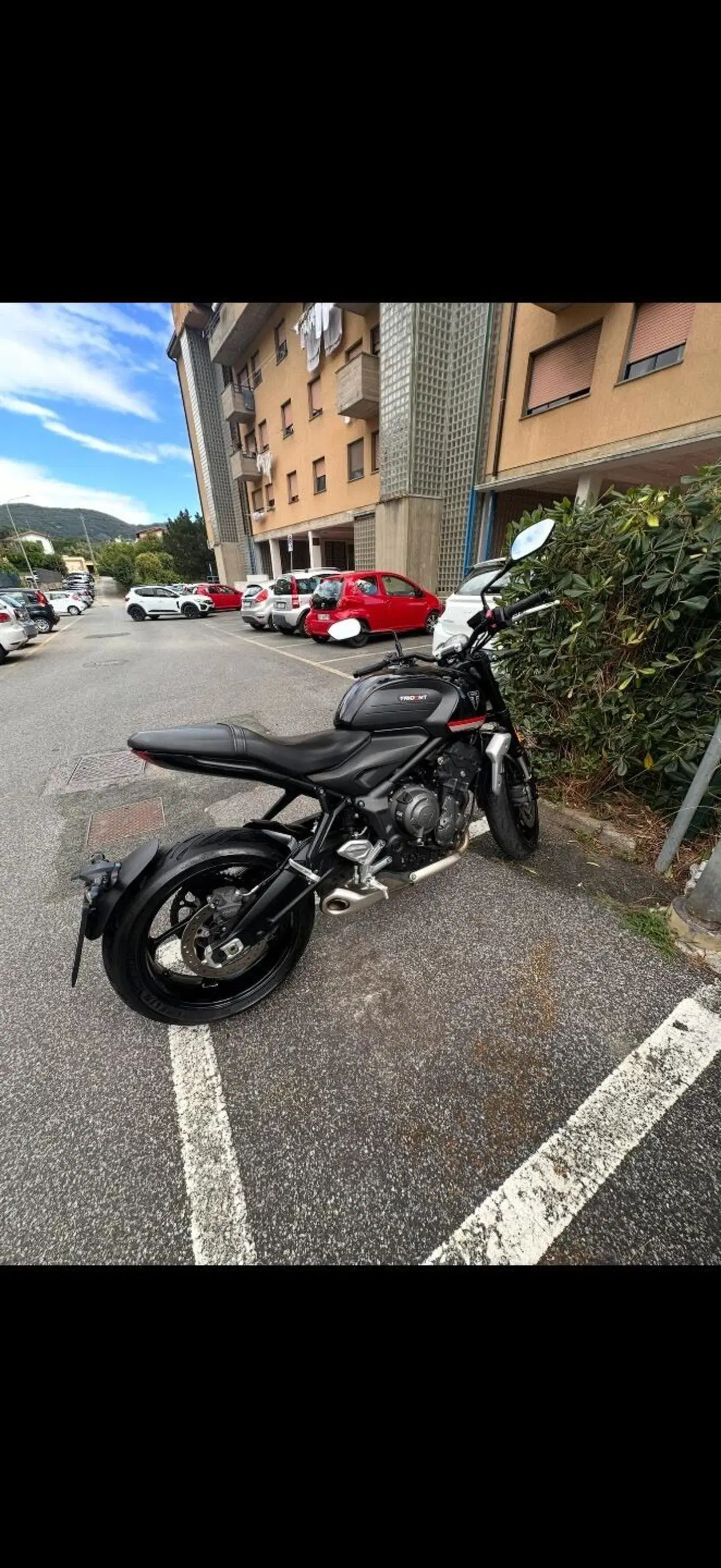Triumph Trident 660 (2021 - 24) (2)
