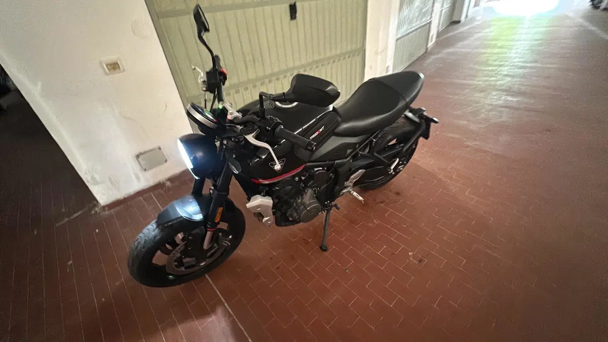 Triumph Trident 660 (2021 - 24) (3)