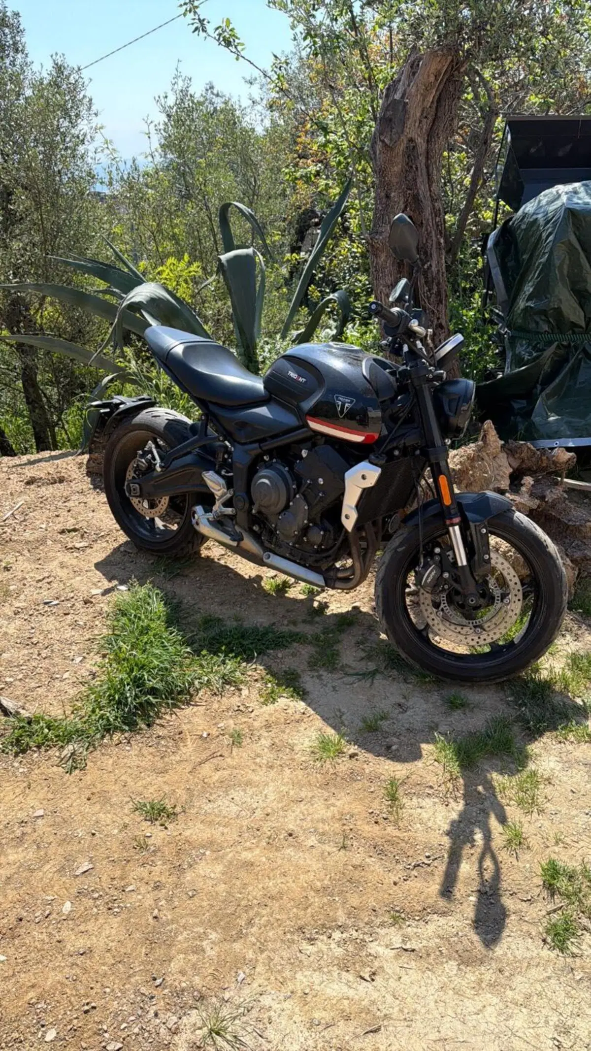 Triumph Trident 660 (2021 - 24) (5)