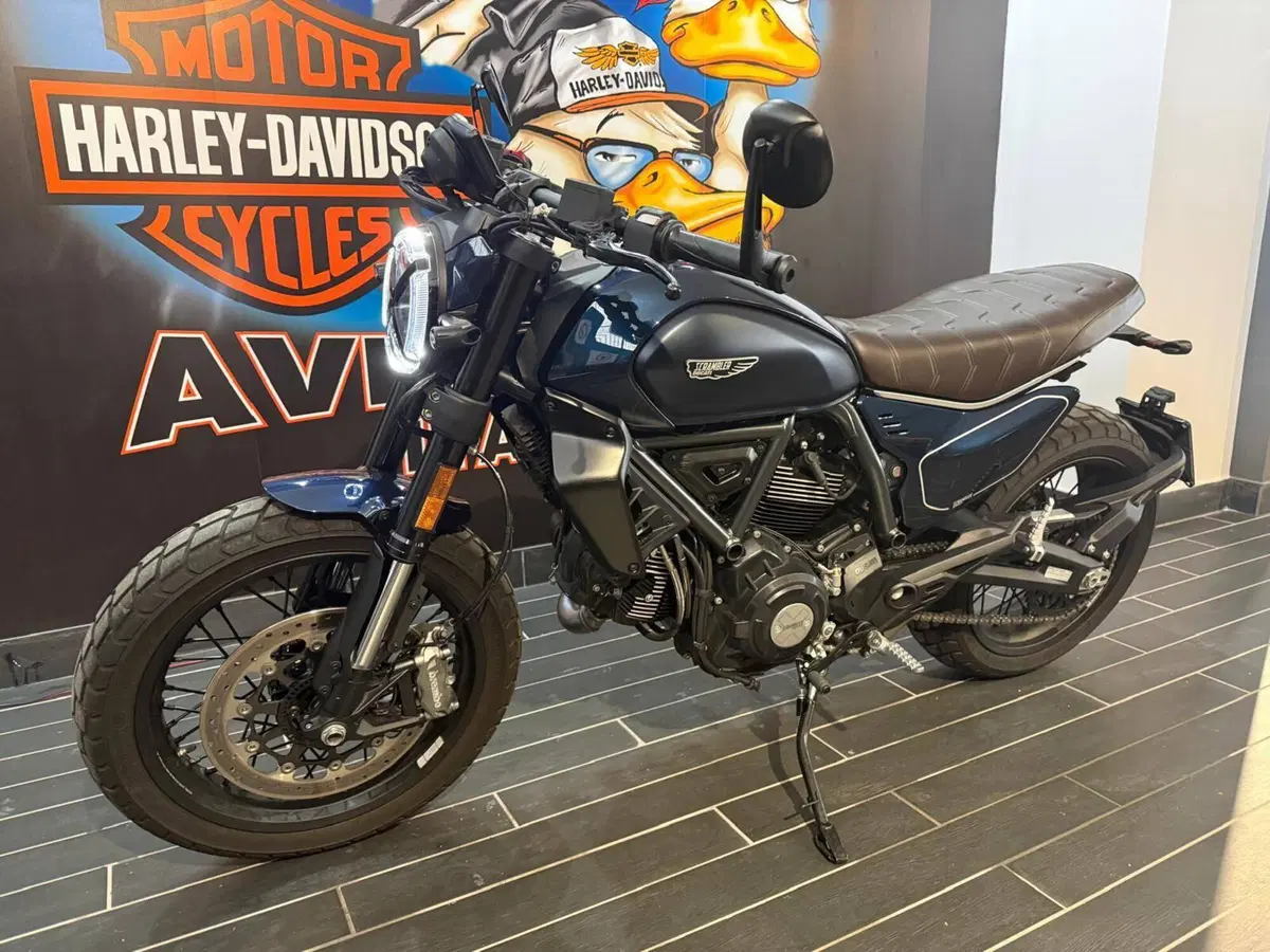 Ducati Scrambler 800 Nightshift (2025 - 26) (4)