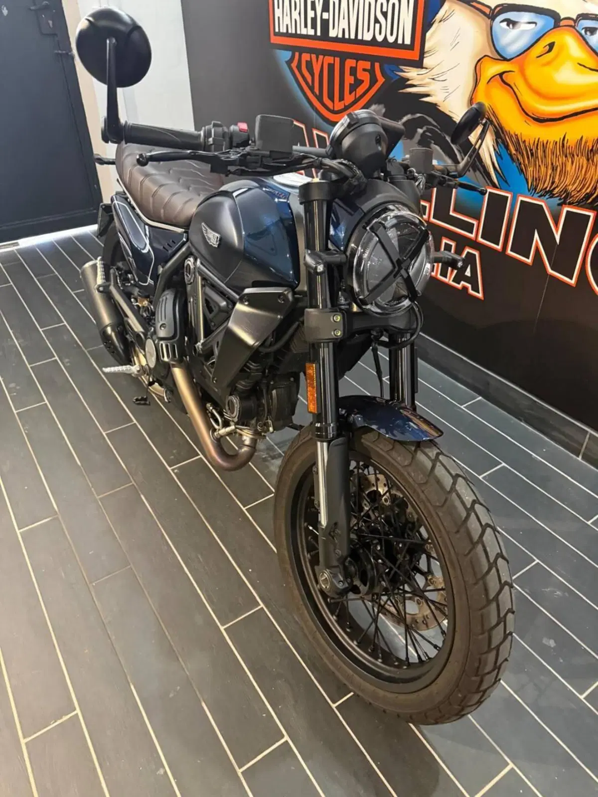 Ducati Scrambler 800 Nightshift (2025 - 26) (6)