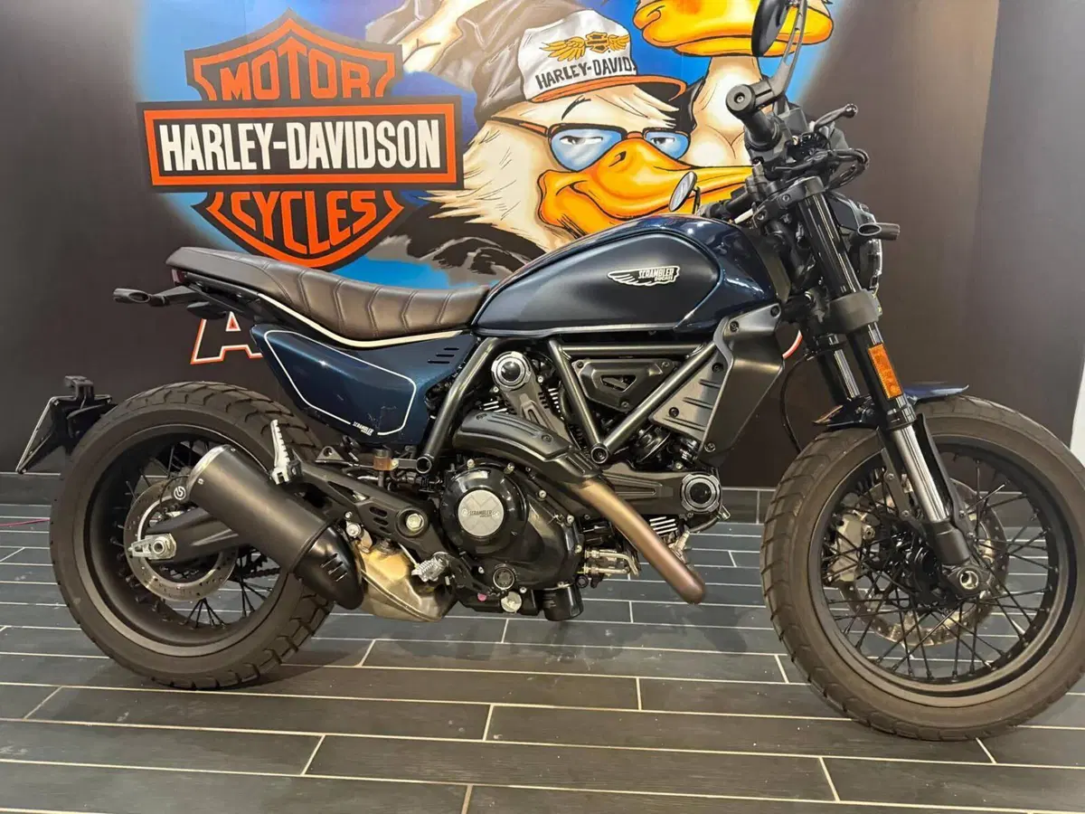 Ducati Scrambler 800 Nightshift (2025 - 26)