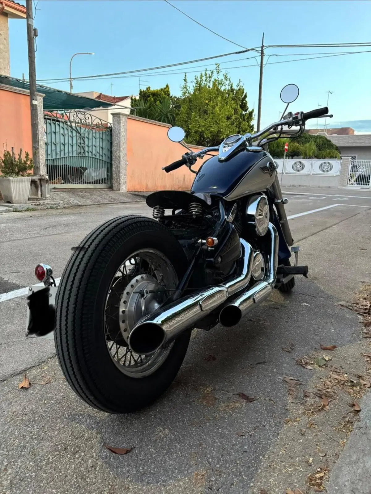 Kawasaki VN 800 Classic (1996 - 00) (3)