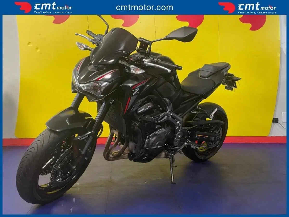 Kawasaki Z 900 Performance A2 (2019) (2)