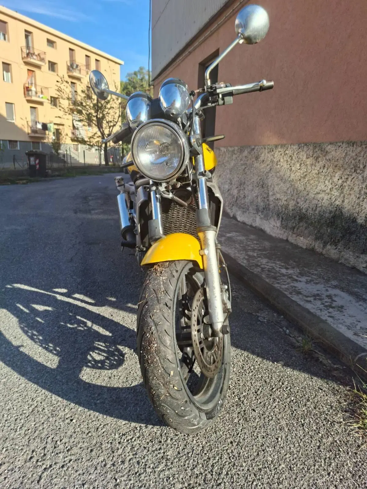 Kawasaki ER-5 500 (2001 - 06) (4)