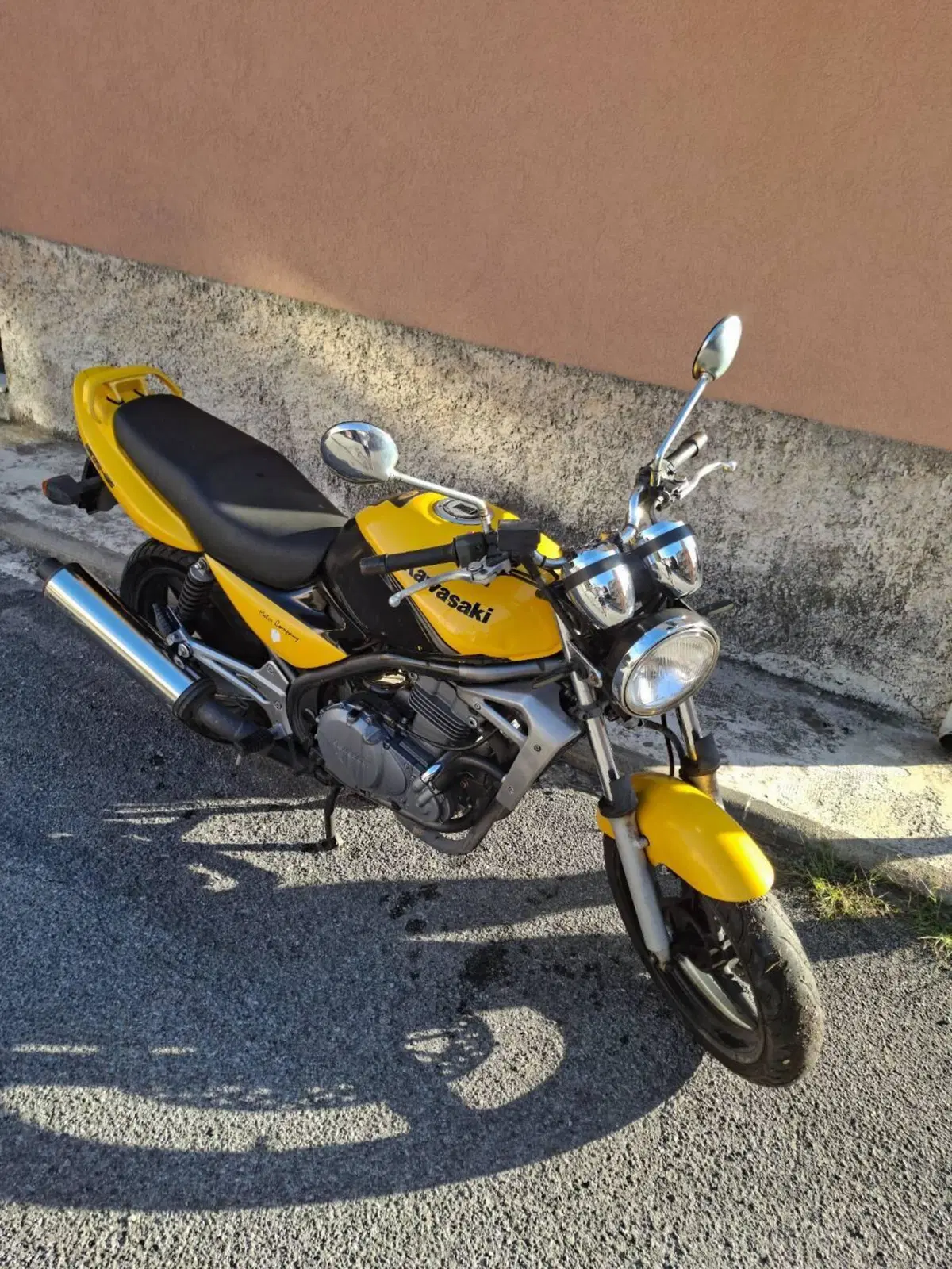 Kawasaki ER-5 500 (2001 - 06) (5)