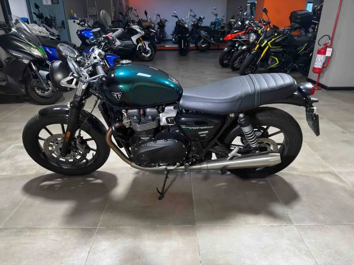 Triumph Speed Twin 900 (2023 - 24) (4)