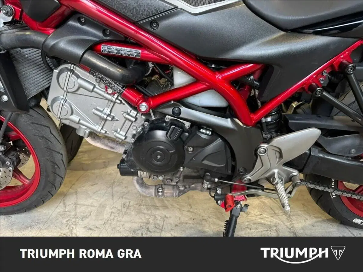 Suzuki SV650 (2021 - 24) (9)