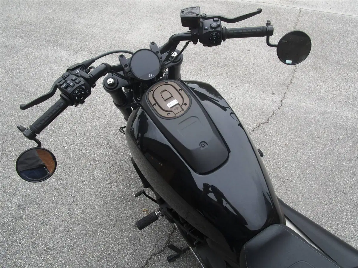 Harley-Davidson Sportster S (2022 - 24) (7)