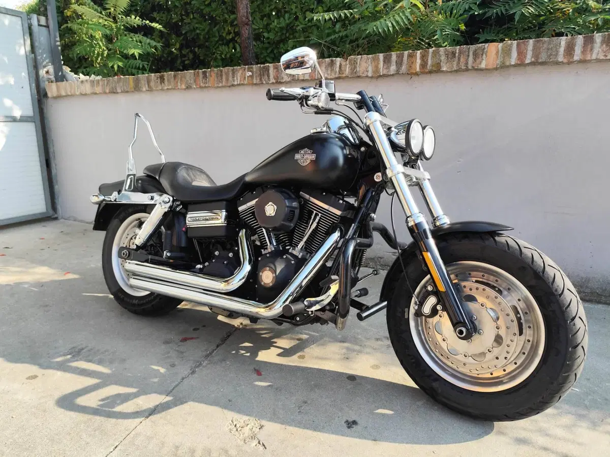 Harley-Davidson 1584 Fat Bob (2007 - 13) - FXDF (2)