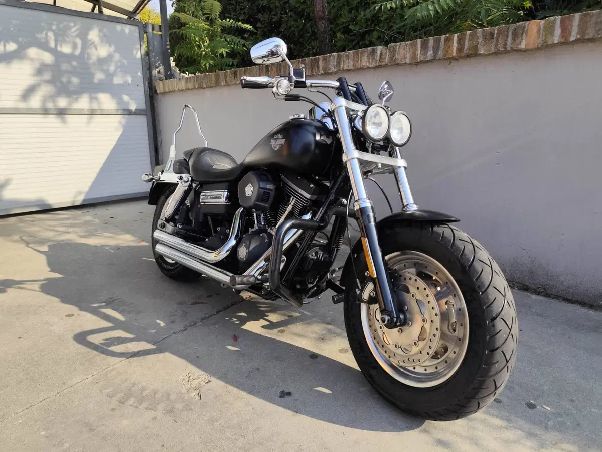 Harley-Davidson 1584 Fat Bob (2007 - 13) - FXDF (3)