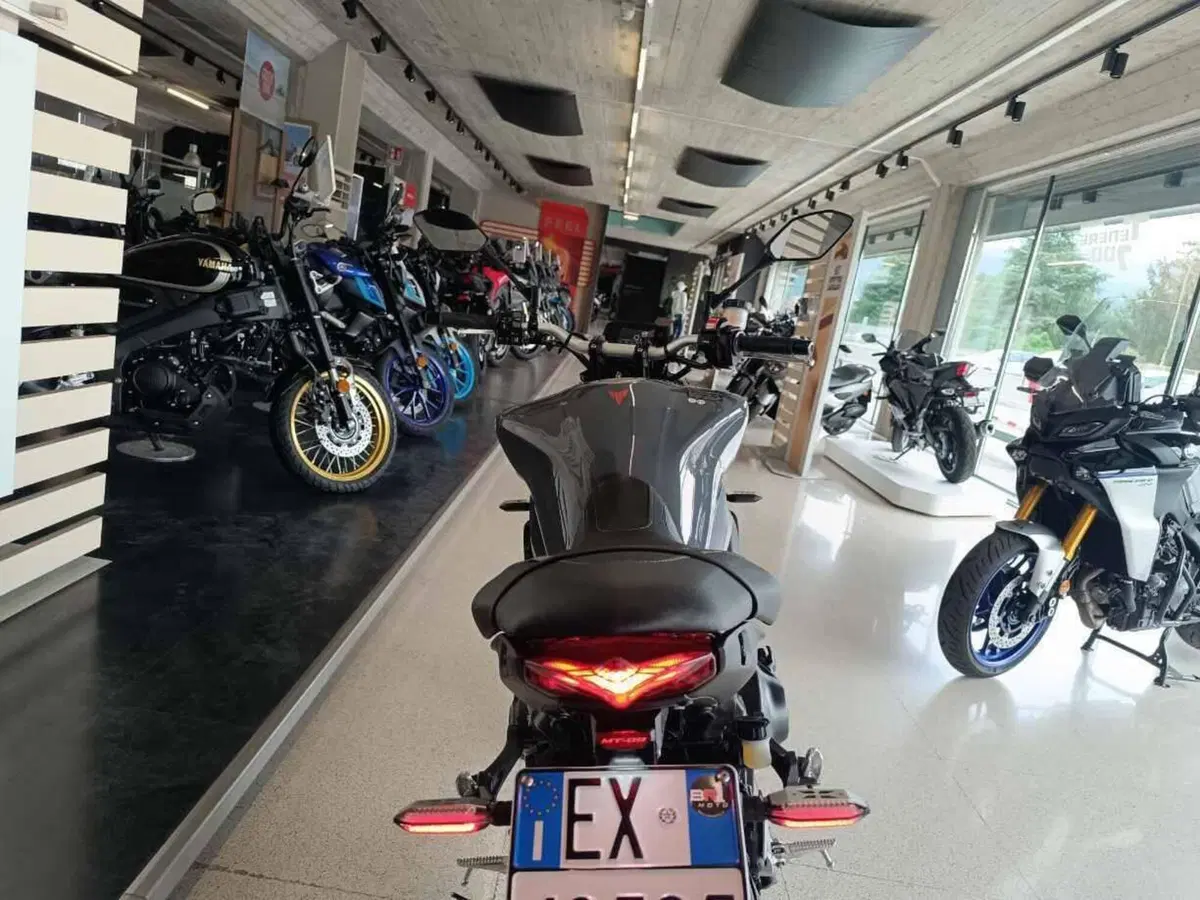 Yamaha MT-09 (2021 - 23) (3)