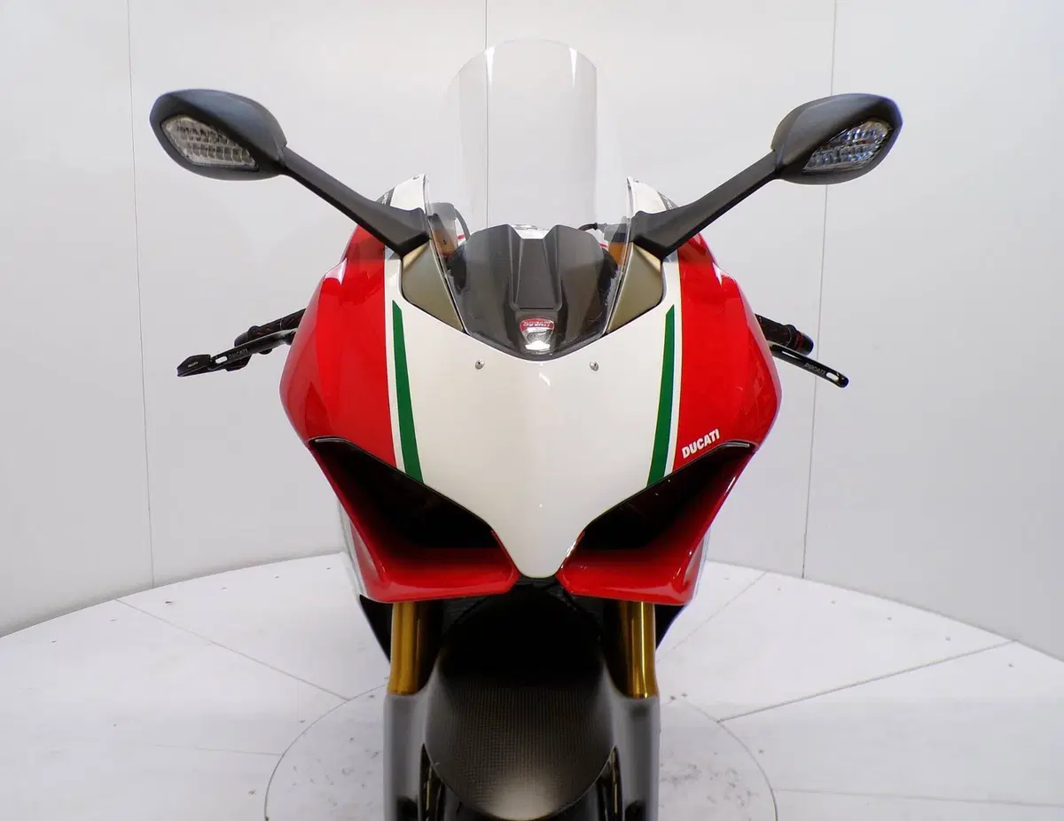 Ducati Panigale V4 Speciale 1100 (2018 - 19) (10)